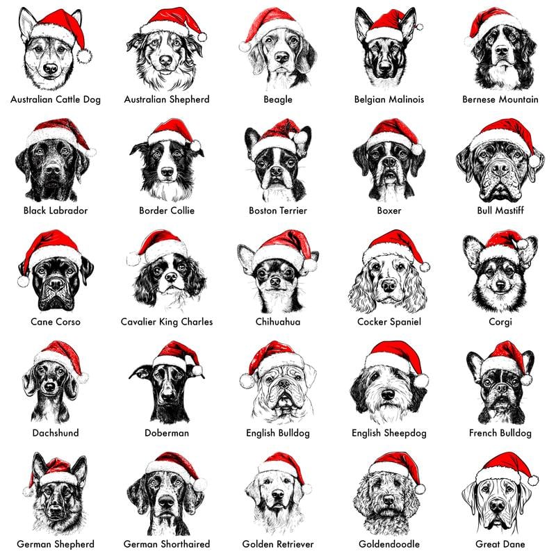 Santa Paws™ Christmas Dog Sweatshirt — 50 Breeds, 1 Festive Spirit 🎅